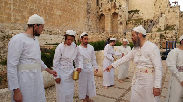 הקרבת קורבן פסח סמוך להר הבית (צילום: חיים קרויזר, מטה ארגוני המקדש)