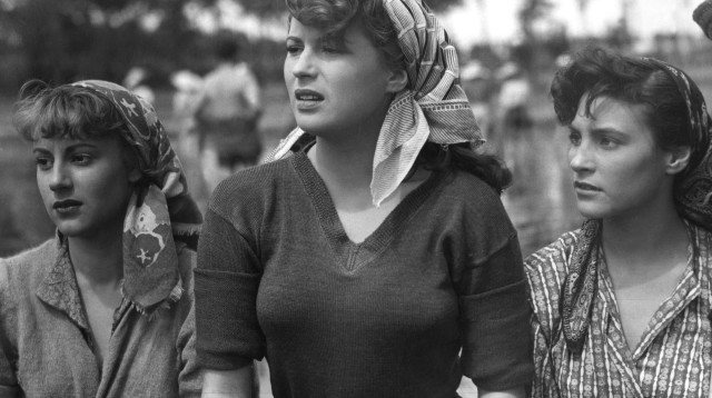 "צ'ינמה איטליה 2018" (צילום: יח"צ)