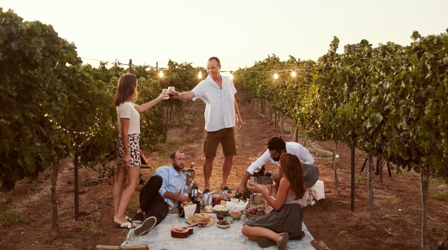 יקב תבור (צילום: לירון אראל)