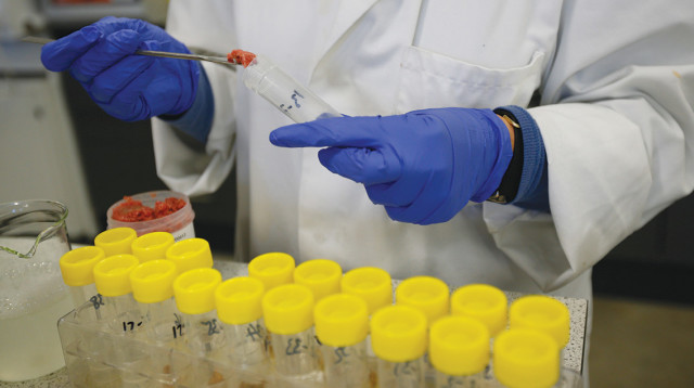 מעבדה. אילוסטרציה (צילום: רויטרס)