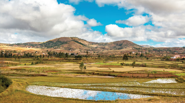 מדגסקר (צילום: אינג אימג')