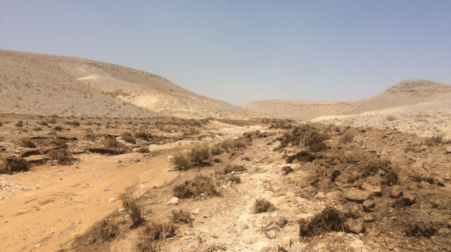 נחל אשלים (צילום: עודד נצר, המשרד להגנת הסביבה)