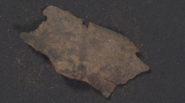 קטעי מגילות גנוזות (צילום: שי הלוי, רשות העתיקות)