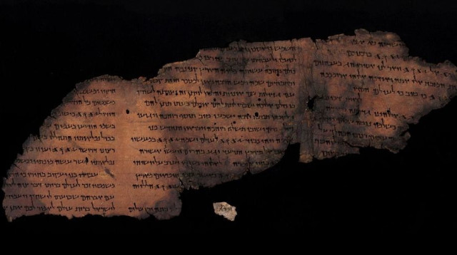 קטעי מגילות גנוזות (צילום: שי הלוי, רשות העתיקות)