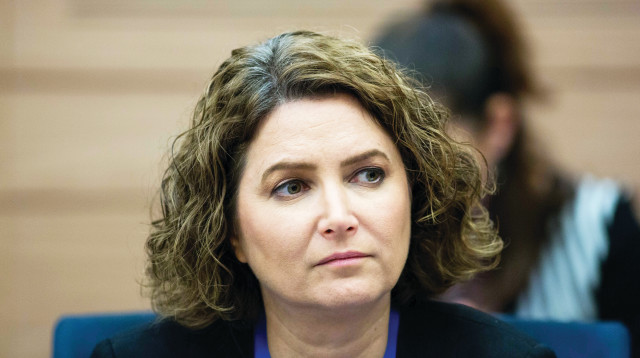 מיכל רוזין  (צילום: יונתן זינדל, פלאש 90)