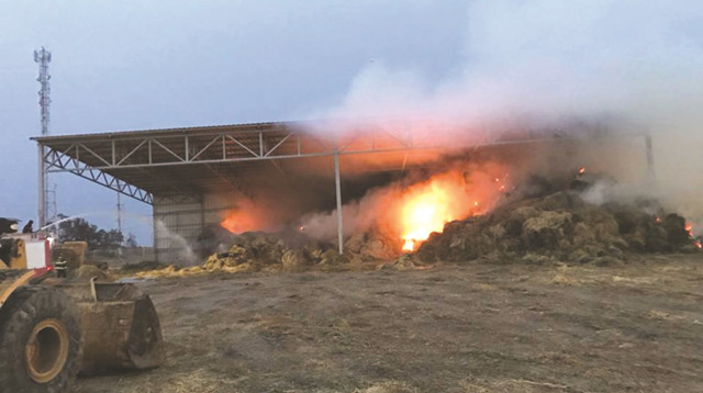 טרור העפיפונים - שריפה בכיסופים (צילום: השומר החדש)