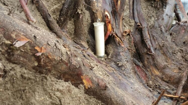 המגילה שנמצאה בדגניה (צילום: דוברות המועצה האזורית עמק הירדן)