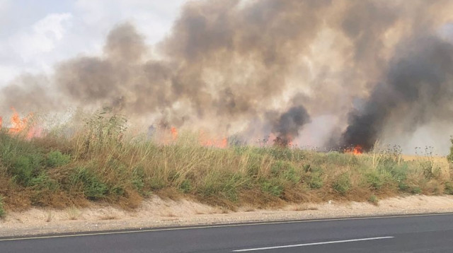 שריפה בשדה בעוטף עזה שנגרמה מבלון תבערה (צילום: דוברות מועצה אזורית שער הנגב)