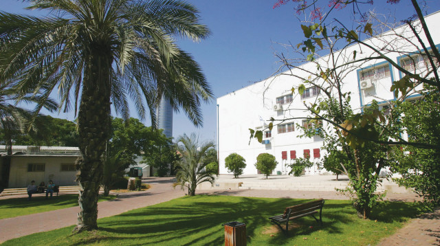 חצר בית ספר, אילוסטרציה (צילום: אלוני מור)