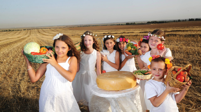 שבועות בצפון הנגב (צילום: חיים הורנשטיין)