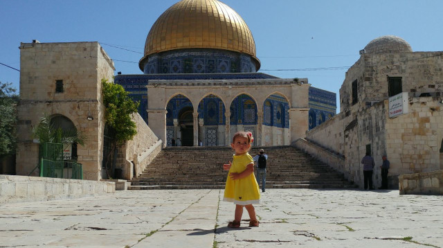 הר הבית (צילום: חיים קרויזר, מטה ארגוני המקדש)
