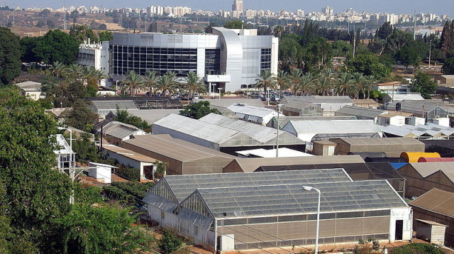 מכון וולקני (צילום: ויקיפדיה,נחלת הכלל)