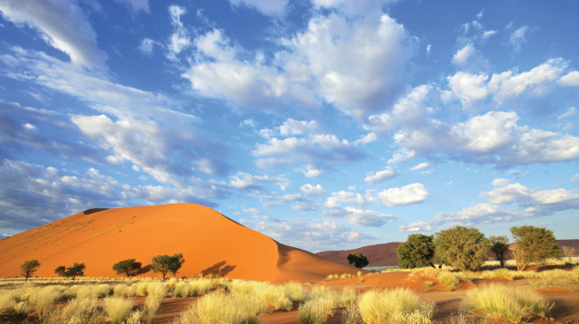 סוסבליי (צילום: אינג אימג')