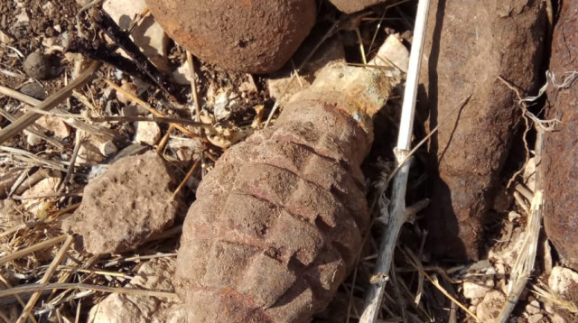 פריטי התחמושת שנמצאו  (צילום: דוברות המשטרה)