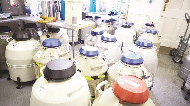 בנק זרע (צילום: אינג אימג')