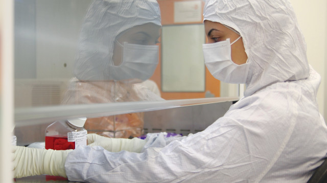 מעבדה (צילום: דיוויד גראף)