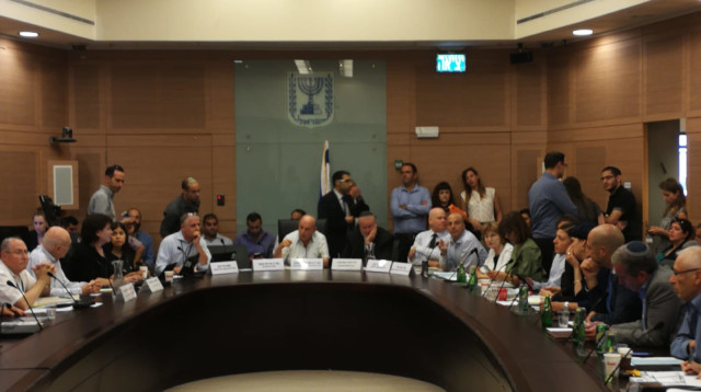 הדיון בוועדת חוקה  (צילום: אבישי גרינצייג)