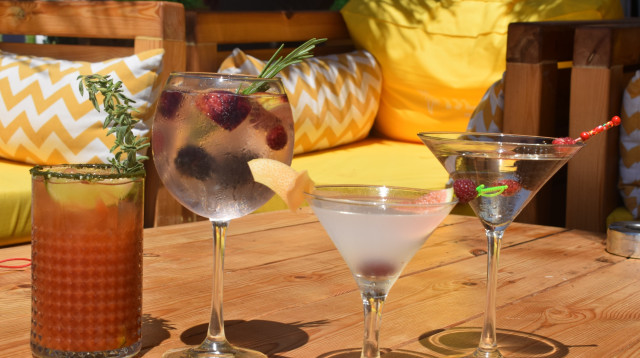 אם החיים מביאים לך אחלה ג'ין, תוסיף לו טוניק (צילום: סנהדרינק)