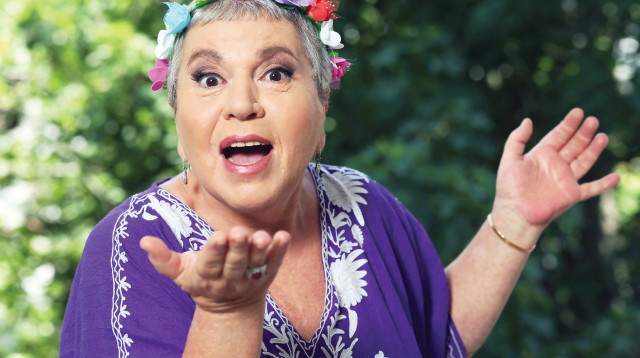 תיקי דיין (צילום: אריאל בשור)