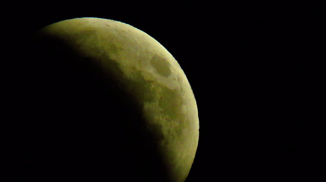 ליקוי ירח בישראל (צילום: זיו נדר, רשות הטבע והגנים)