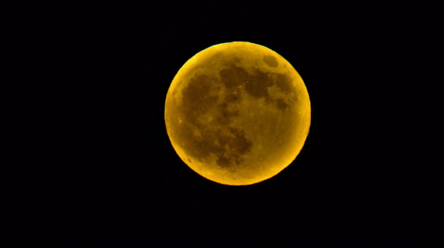 ליקוי ירח בישראל (צילום: זיו נדר, רשות הטבע והגנים)