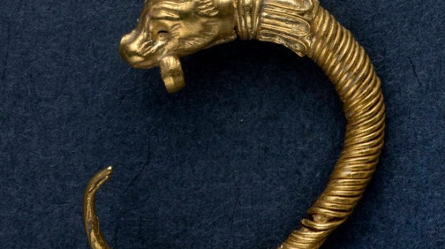 עגיל זהב הלניסטי (צילום: קלרה עמית, באדיבות רשות העתיקות)