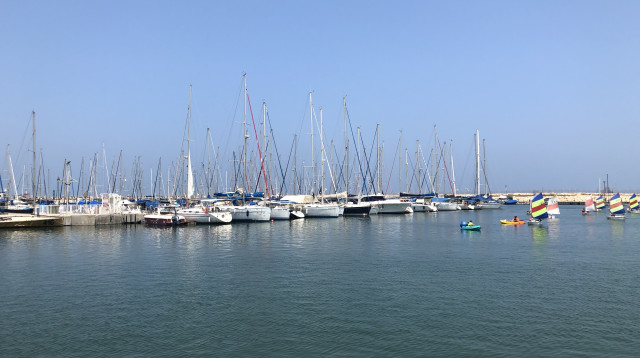 המרינה באשדוד   (צילום: מיטל שרעבי)