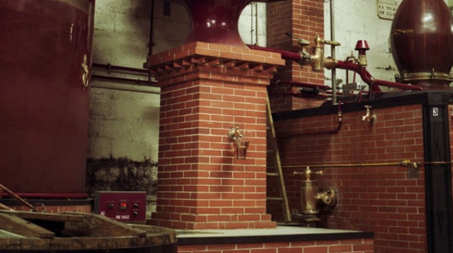 קוניאק (צילום: יח"צ)