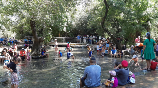 מטיילים בתל דן (צילום: רשות הטבע והגנים)