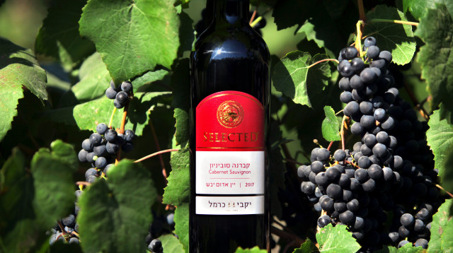 סלקטד של כרמל (צילום: דוד סילברמן, לע"מ)