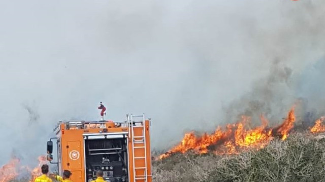 שריפה בצפון (צילום: דוברות כבאות והצלה)