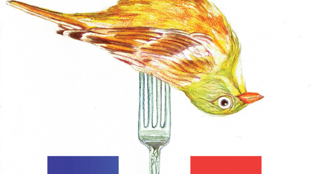 איור (צילום: נעמי ליס-מיברג)