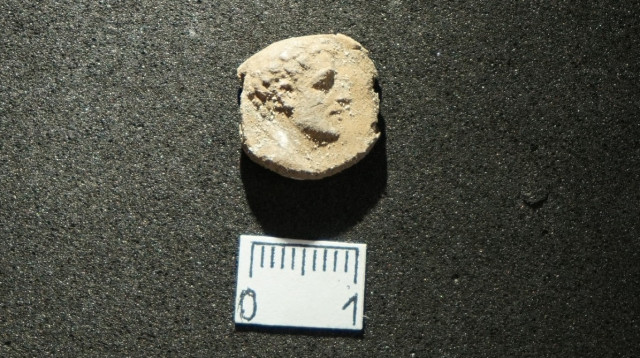 הבולות שנמצאו (צילום: אסף שטרן)