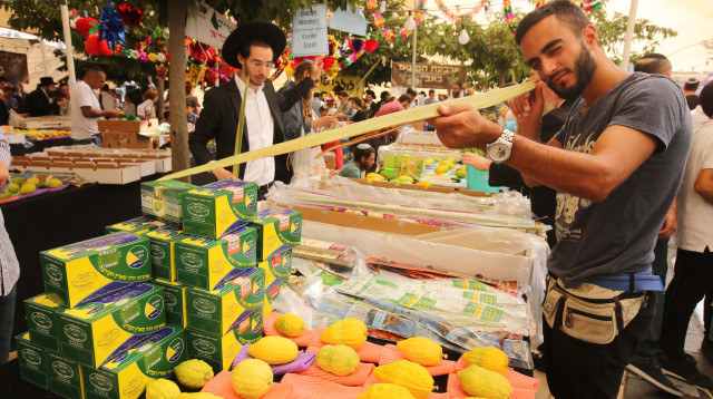ארבעת המינים  (צילום: מרק ישראל סלם)