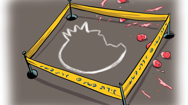 איור: רימון בסוכה (צילום: אורי פינק)