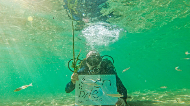 צוללים בנהריה (צילום: ritvo photography)