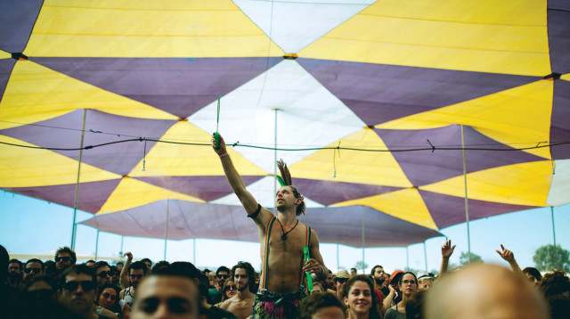 "אינדינגב" (צילום: יואב קדם)