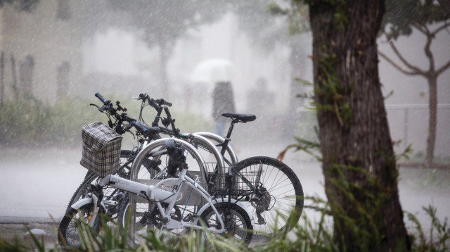 אופניים חשמליים (צילום: נתי שוחט, פלאש 90)