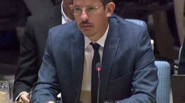 חגי אלעד באו"ם (צילום: מסך)