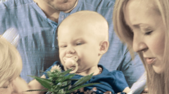 טרייסי ראיין, קנאביס להמונים (צילום: יח"צ)