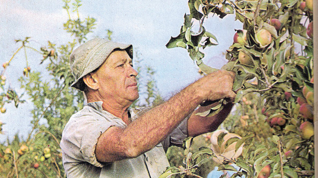 עטיפת תקליט שלא ייגמר לעולם, משירי דוד זהבי  ישראל, 1973 (צילום: חברת הד ארצי)