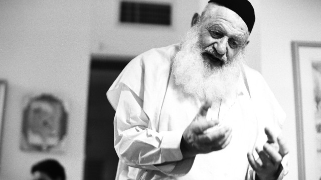 רוח צעירה. אנשי תוצרת הארץ. מימין: טליה כהן, ליאור ז'ורנו־חפץ, רעות שרוני ונטע אראלי־בן אור (צילום: בן גל דרן)