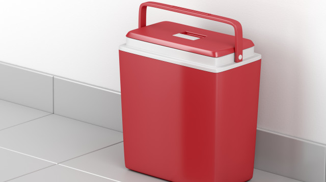 צידנית (צילום: ingimage ASAP)