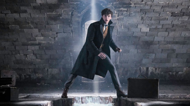 חיות הפלא הפשעים של גרינדלוולד (צילום: Tulip Entertainment)