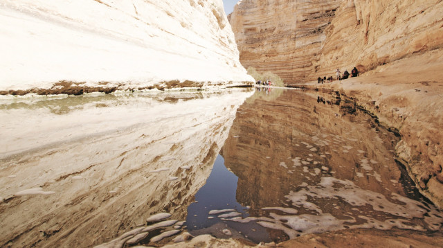 גן לאומי עין עבדת (צילום: הדר יהב)