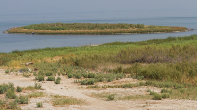 האי בכנרת (צילום: פלאש 90)