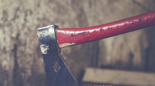 גרזן (צילום: Pixabay)