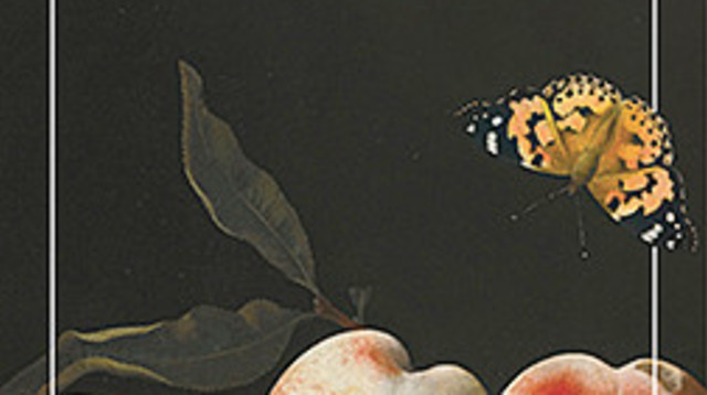 "שלוש", דרור משעני (צילום: כריכת הספר)