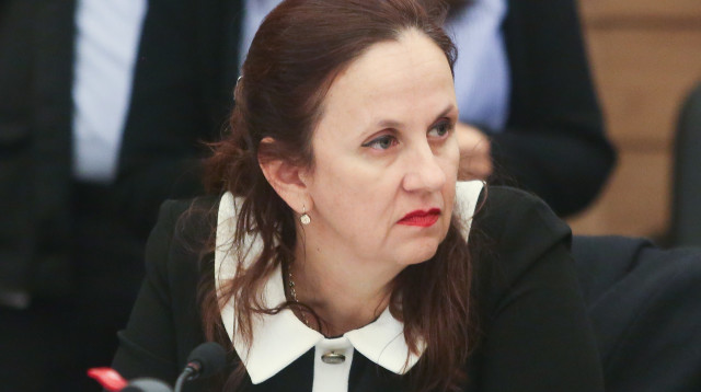 דינה זילבר (צילום: מרק ישראל סלם)