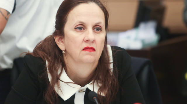 דינה זילבר (צילום: מרק ישראל סלם)